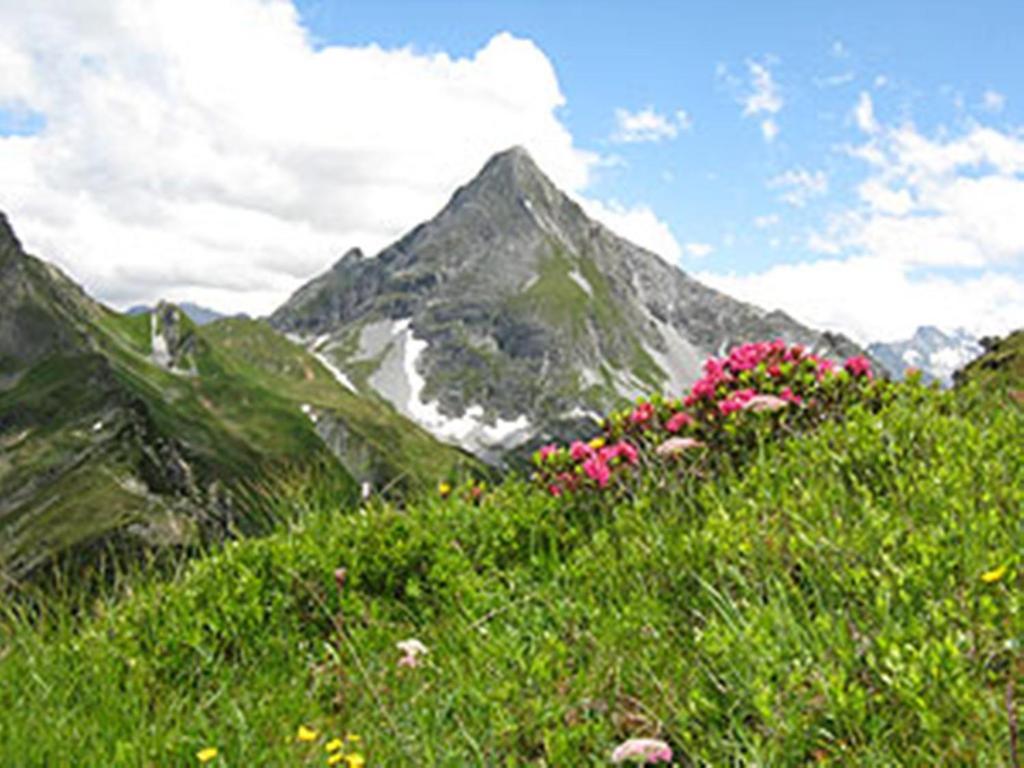 Ferienwohnung Gästehaus Alpengruss Mayrhofen Exterior foto